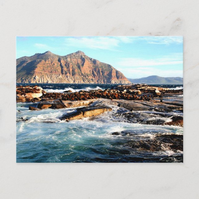 Isla Duiker, postal de Sudáfrica (Anverso)