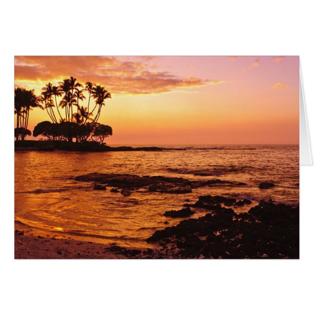 Isla Grande, Hawái. Atardecer, Isla Grande Hawái.  (Anverso (Horizontal))