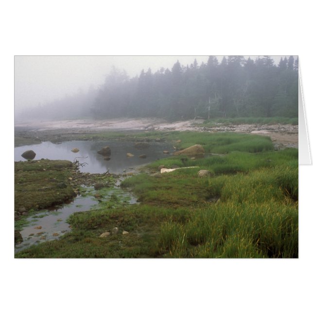 Isla Great Wass Maine (Anverso (Horizontal))