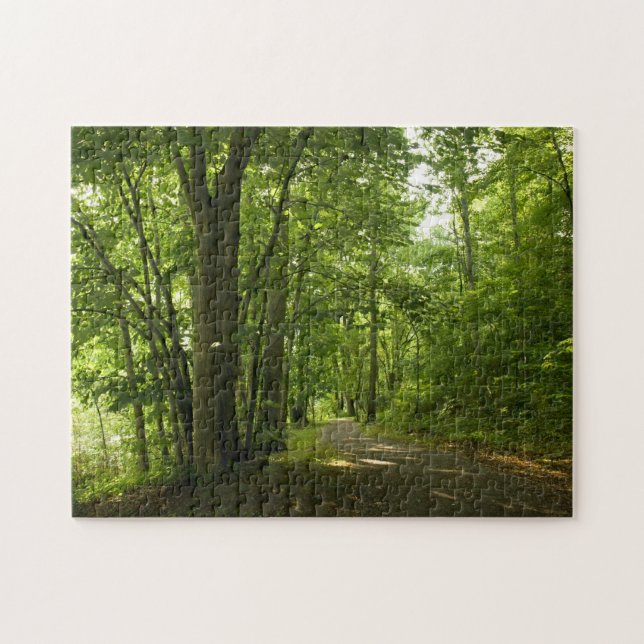 Isla Osceola, Weir - rompecabezas de Dam Bristol T (Horizontal)