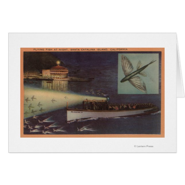 Isla Santa Catalina, Casino CA, Pescado Volador (Anverso (Horizontal))