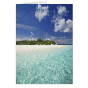 Isla tropical rodeada de laguna, Maldivas,