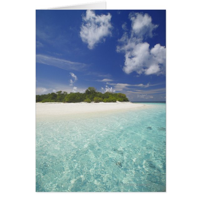 Isla tropical rodeada de laguna, Maldivas, (Frente)