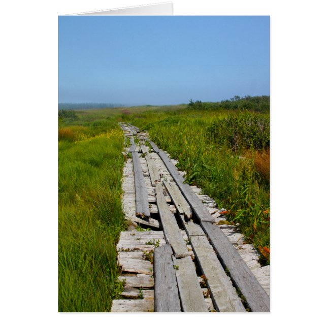 Isla Whitehead, NB (Frente)