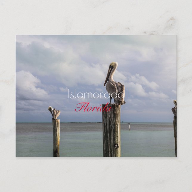 Islamorada, postal de vacaciones en Florida (Anverso)