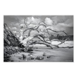 "Island Beach" Foto Impresa