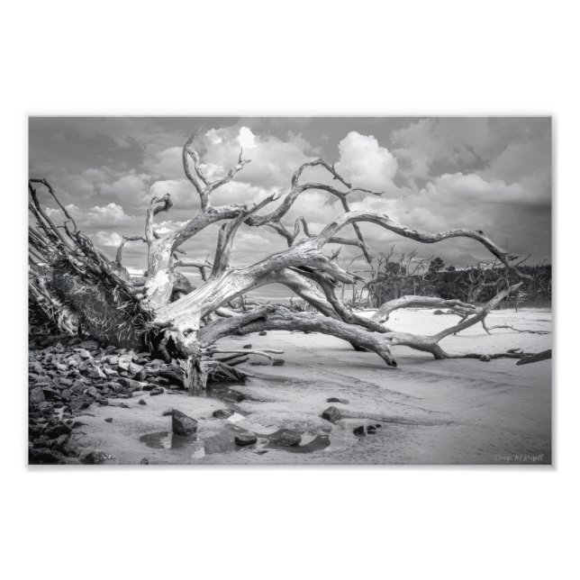 "Island Beach" Foto Impresa (Frente)