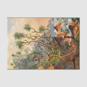 Island Ernst Haeckel Papel del tejido de la descon