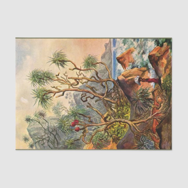 Island Ernst Haeckel Papel del tejido de la descon (Anverso)