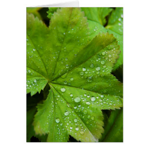 Islandia. Región Sur. Gullfoss