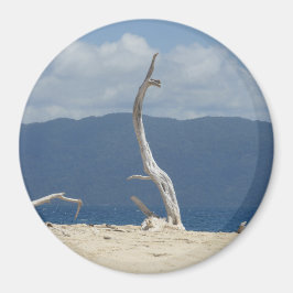 Islas Frankland - imán de Australia