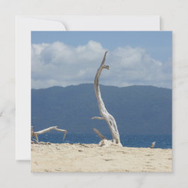 Islas Frankland - Tarjeta plana de Australia