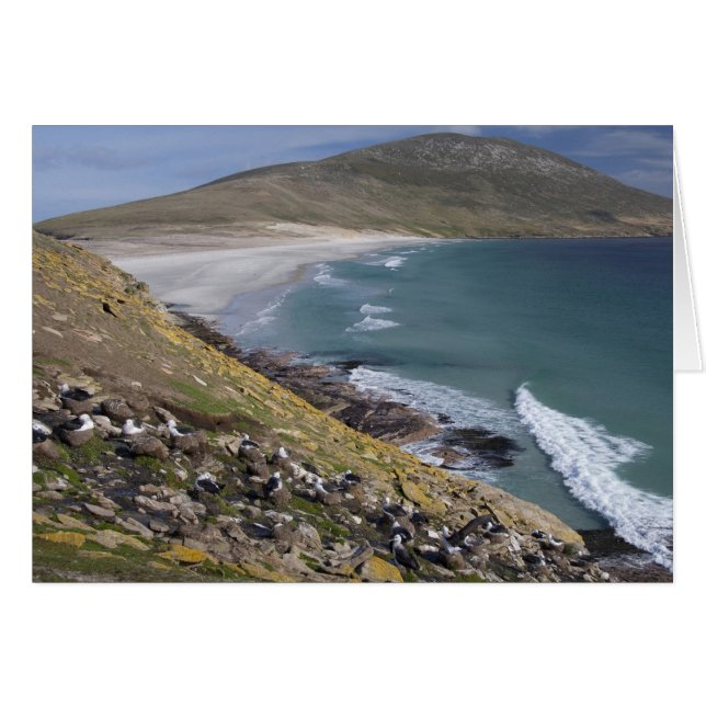 Islas Malvinas, West Falkland, Saunders (Anverso (Horizontal))