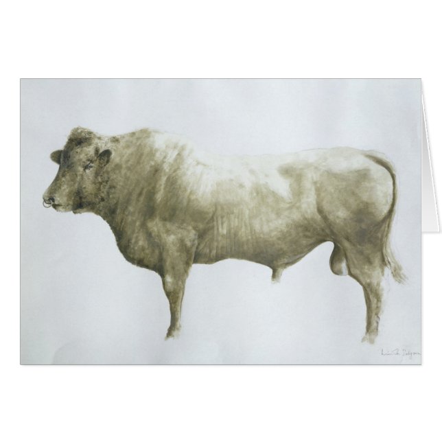 Islay Bull 2004 (Anverso (Horizontal))