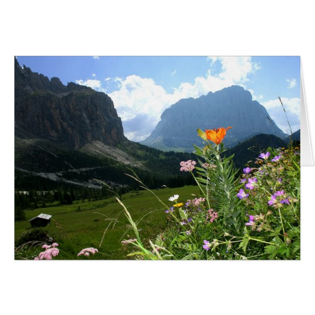 ITALIA: Flores silvestres, Dolomitas (Anverso (Horizontal))