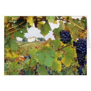 Italia, granja de Toscana vista a través de