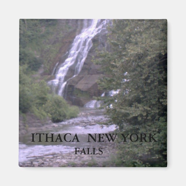 ITHACA, NUEVA YORK FALLS imán (Frente)