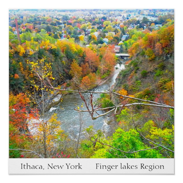 ITHACA NUEVA YORK FINGER LAKES REGIONAL poster (Anverso)