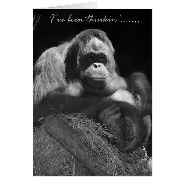 Ive Been Thinkin (Frente)