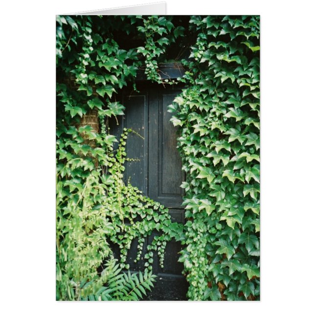 Ivy Door (Frente)