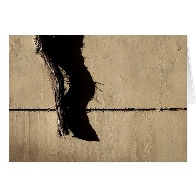 Ivy Vine y Shadow (Anverso (Horizontal))