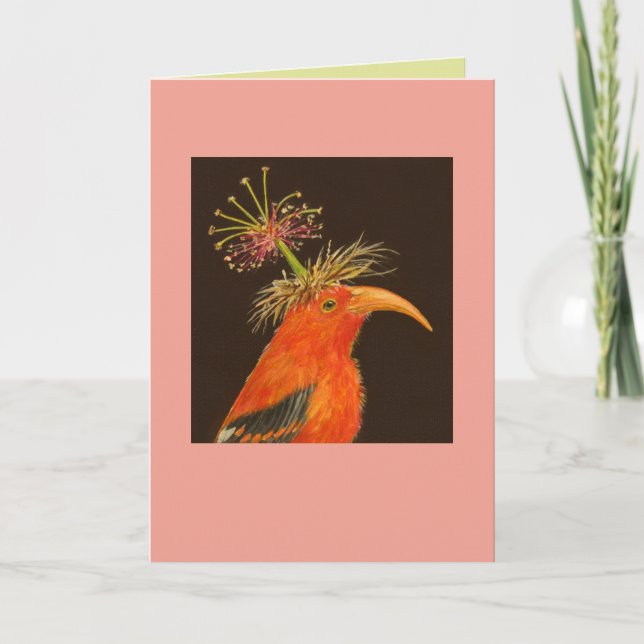 Iwi con tarjeta gorra de estambre (Anverso)