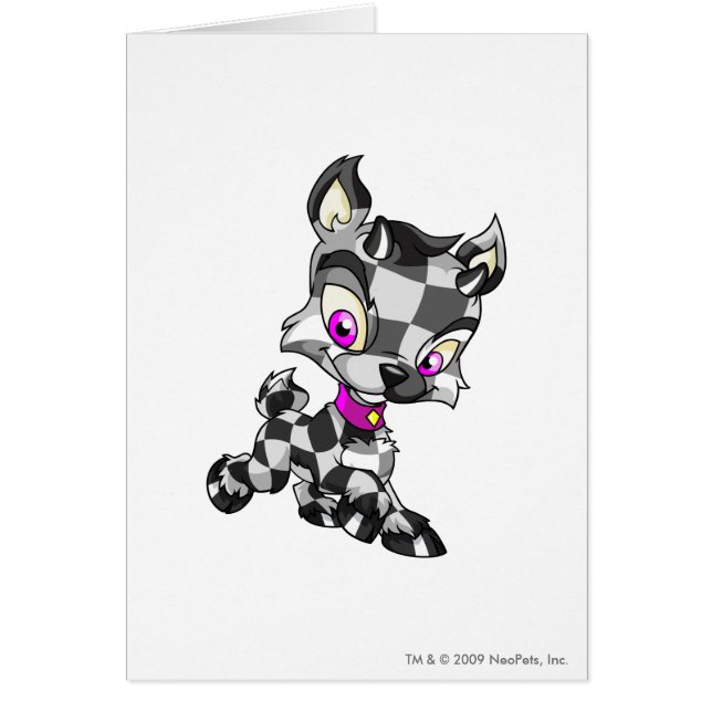 Ixi a cuadros (Frente)