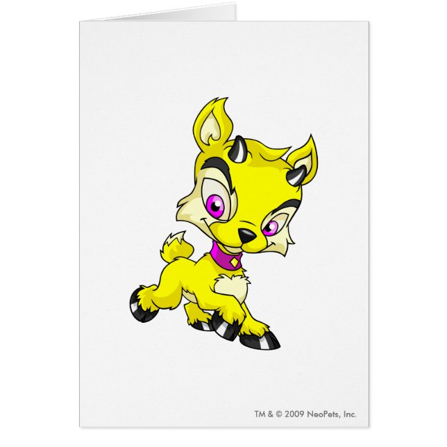 Ixi amarillo (Frente)