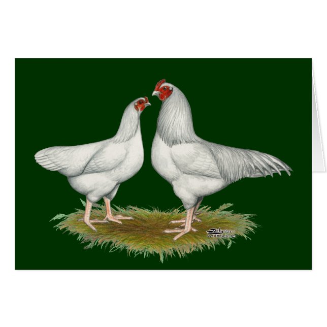 Ixworth Chickens (Anverso (Horizontal))