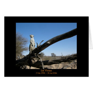 Izit - tarjeta de las leyendas