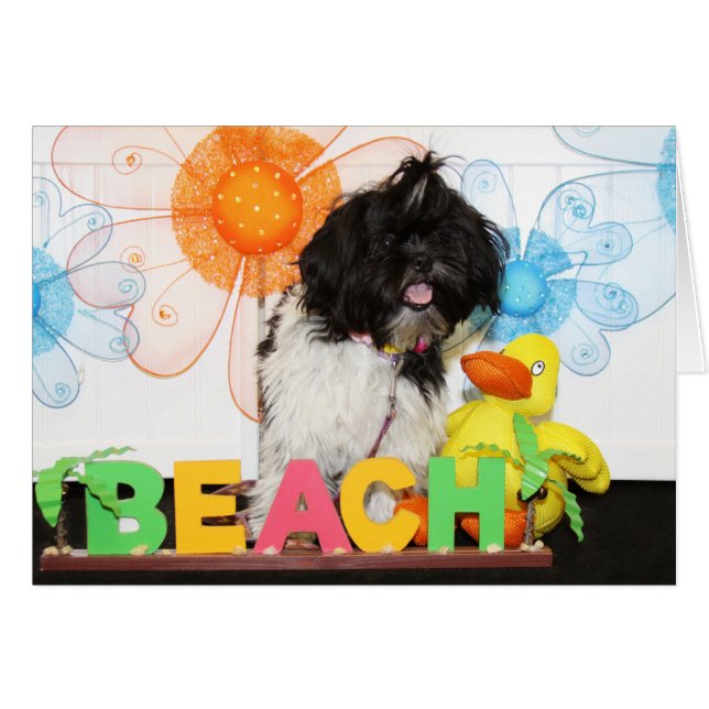 Izzy - Shih Tzu -8 (Anverso (Horizontal))
