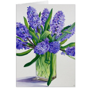 Jacintos azules