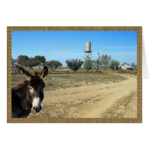 Jack el burro en el rancho