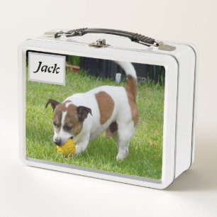 Jack Nombre Con Fox Terrier,