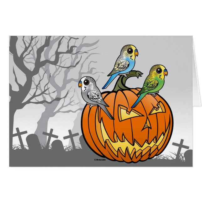 Jack O'Budgies (Anverso (Horizontal))