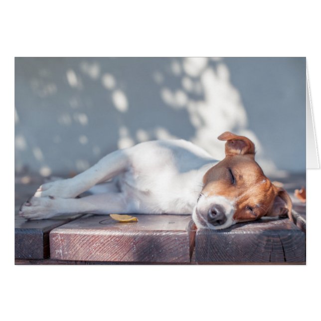 Jack Russel En El Porche Otoño (Anverso (Horizontal))