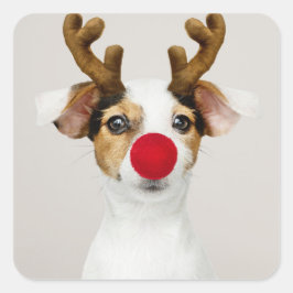 JACK RUSSEL TERRIER COMO PEGATINA REINDEA