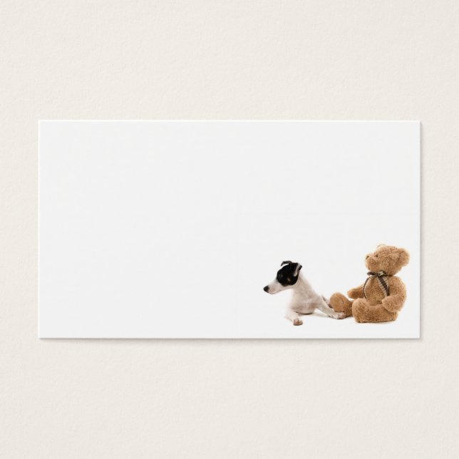 jack russel y su juguete (Frente)