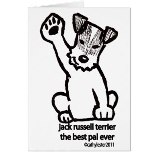 Jack Russell mejor PAL