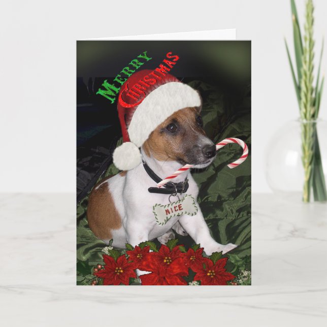 Jack Russell Naughty o tarjetas buenas (Anverso)