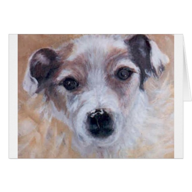 Jack Russell Terrier (Anverso (Horizontal))