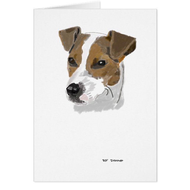 Jack Russell Terrier (Frente)