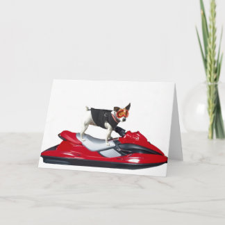 Jack Russell Terrier en la tarjeta de felicitación