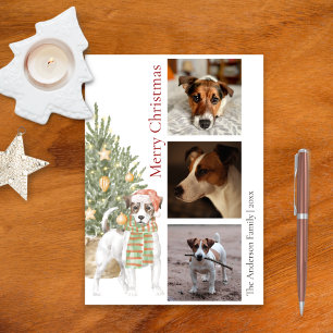 Jack Russell Terrier Mascota de árbol de Navidad