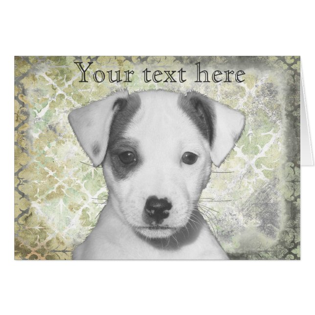 Jack Russell Terrier Puppy (Anverso (Horizontal))