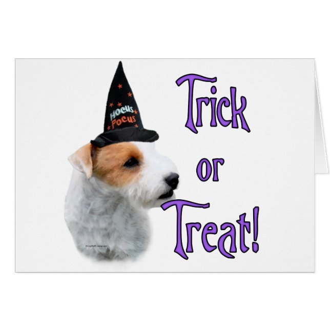 Jack Russell Terrier Trick (Anverso (Horizontal))