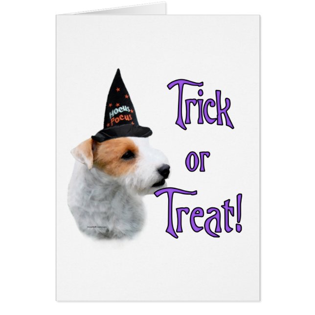 Jack Russell Terrier Trick (Frente)