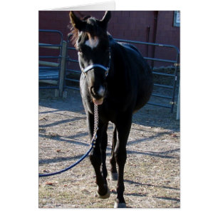 Jack Sticks su lengua fuera