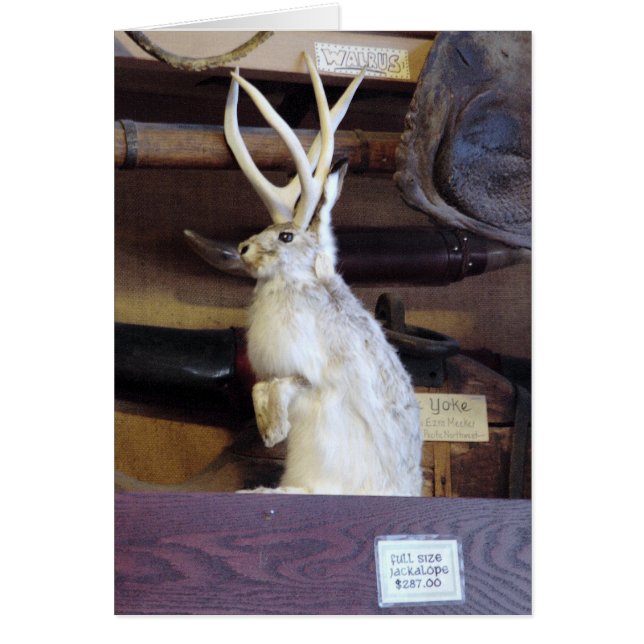Jackalope del mismo tamaño $287,00 (Frente)