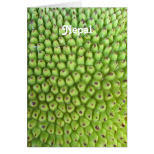 Jackfruit nepalés